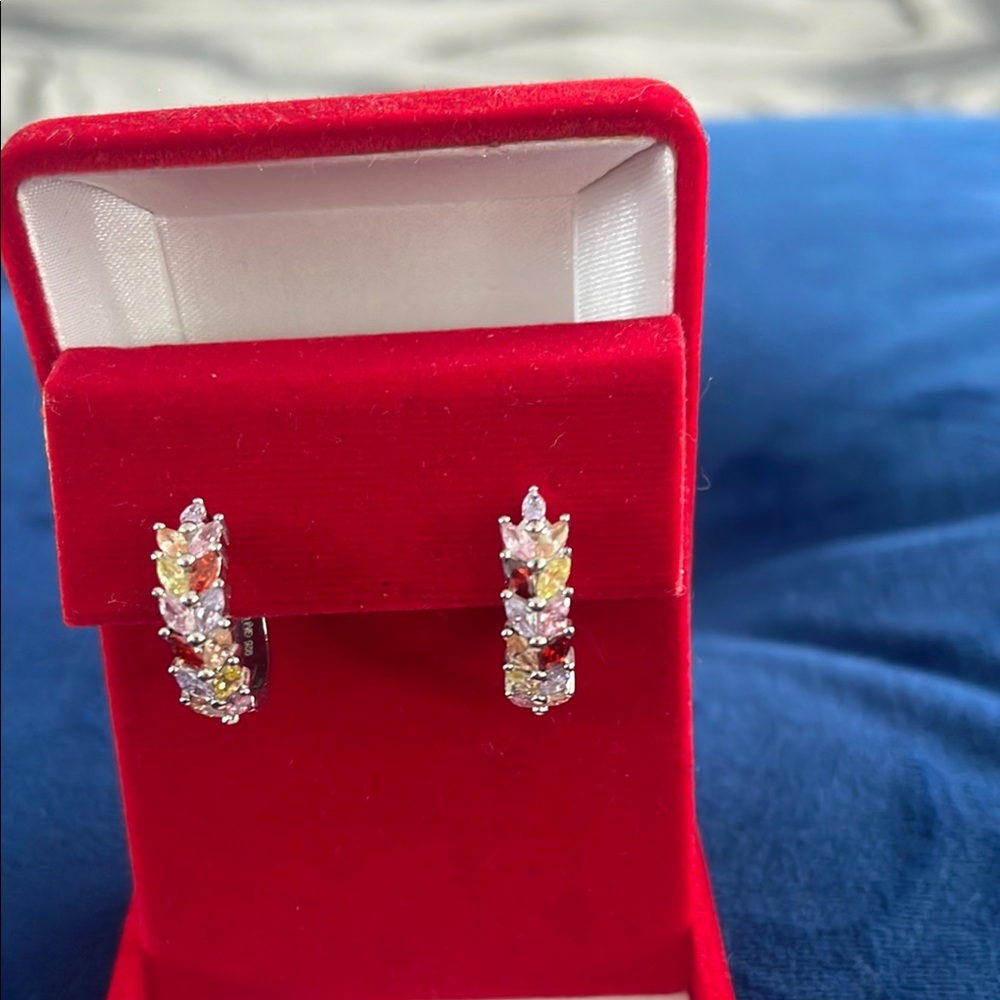 925 Sterling Silver white gold plated Elegant Multi-Color Crystal Earrings